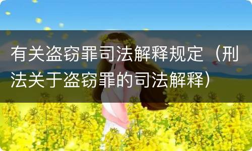 有关盗窃罪司法解释规定（刑法关于盗窃罪的司法解释）