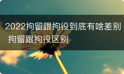 2022拘留跟拘役到底有啥差别 拘留跟拘役区别