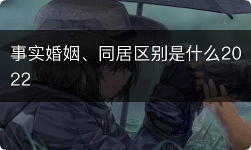 事实婚姻、同居区别是什么2022