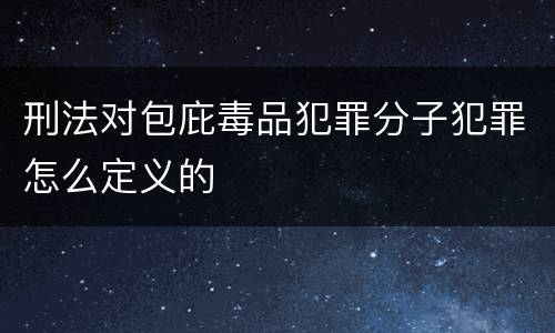 刑法对包庇毒品犯罪分子犯罪怎么定义的