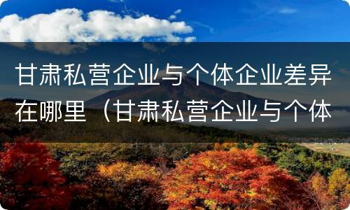 甘肃私营企业与个体企业差异在哪里（甘肃私营企业与个体企业差异在哪里查）