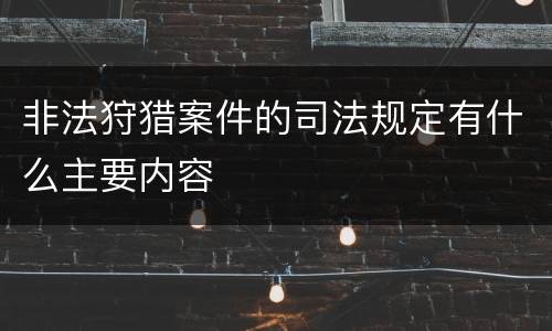 非法狩猎案件的司法规定有什么主要内容
