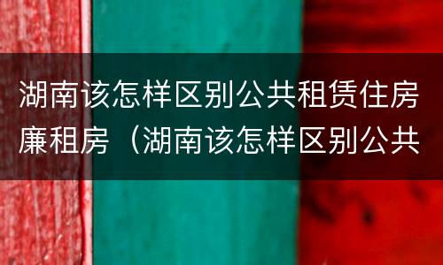 湖南该怎样区别公共租赁住房廉租房（湖南该怎样区别公共租赁住房廉租房和商品房）