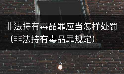 非法持有毒品罪应当怎样处罚（非法持有毒品罪规定）