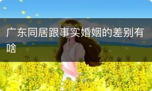 广东同居跟事实婚姻的差别有啥