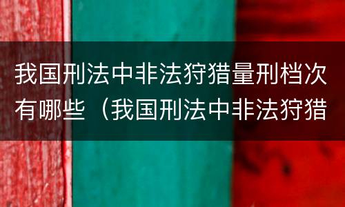 我国刑法中非法狩猎量刑档次有哪些（我国刑法中非法狩猎量刑档次有哪些标准）