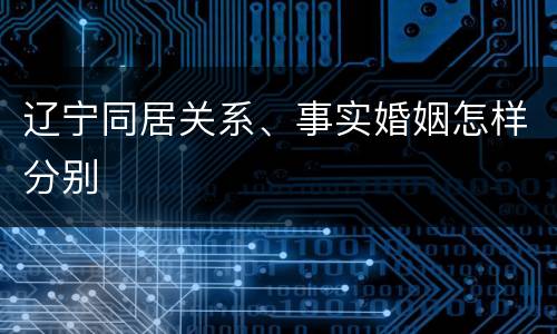 辽宁同居关系、事实婚姻怎样分别