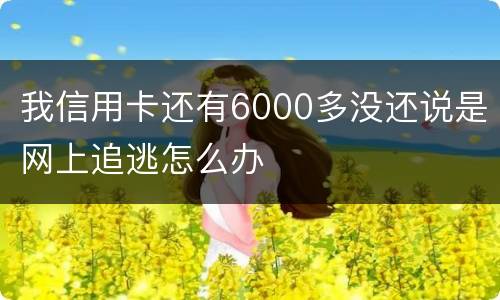 我信用卡还有6000多没还说是网上追逃怎么办