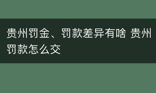 贵州罚金、罚款差异有啥 贵州罚款怎么交