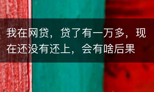 我在网贷，贷了有一万多，现在还没有还上，会有啥后果