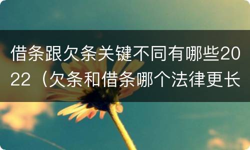 借条跟欠条关键不同有哪些2022（欠条和借条哪个法律更长）