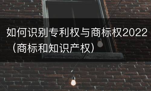如何识别专利权与商标权2022（商标和知识产权）