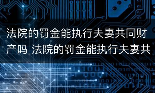 法院的罚金能执行夫妻共同财产吗 法院的罚金能执行夫妻共同财产吗怎么执行
