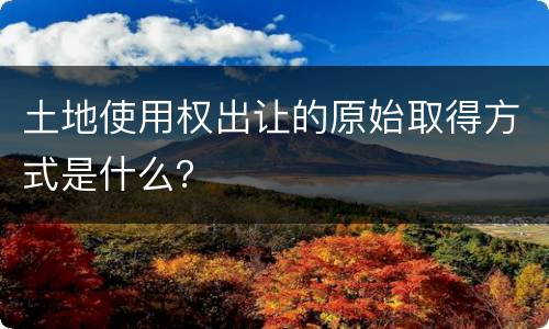 土地使用权出让的原始取得方式是什么？