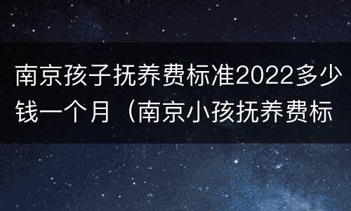 南京孩子抚养费标准2022多少钱一个月（南京小孩抚养费标准一月多少钱）