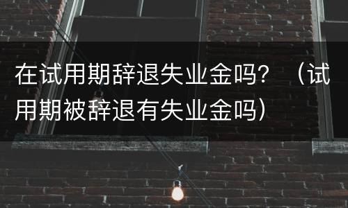 在试用期辞退失业金吗？（试用期被辞退有失业金吗）