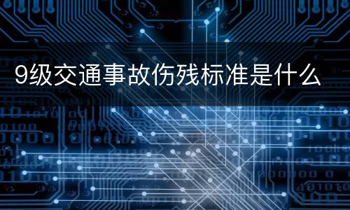 9级交通事故伤残标准是什么