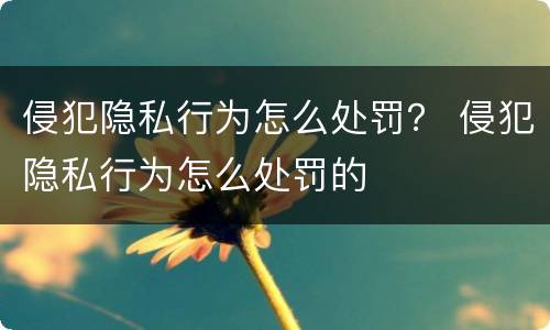 侵犯隐私行为怎么处罚？ 侵犯隐私行为怎么处罚的