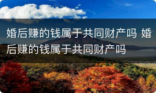婚后赚的钱属于共同财产吗 婚后赚的钱属于共同财产吗