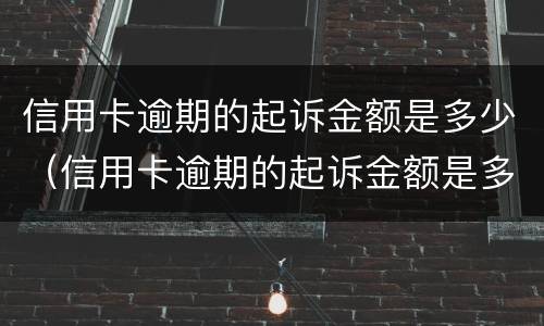 信用卡逾期的起诉金额是多少（信用卡逾期的起诉金额是多少啊）