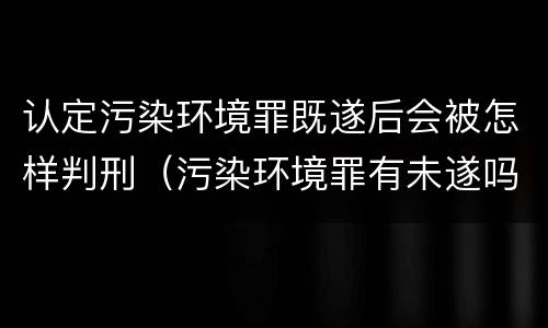 认定污染环境罪既遂后会被怎样判刑（污染环境罪有未遂吗）