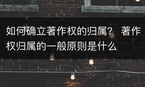 如何确立著作权的归属？ 著作权归属的一般原则是什么