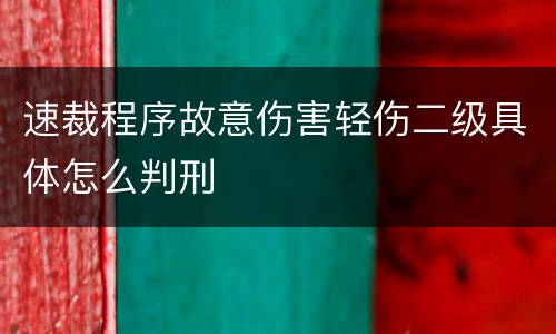 速裁程序故意伤害轻伤二级具体怎么判刑