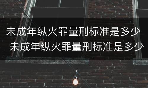 未成年纵火罪量刑标准是多少 未成年纵火罪量刑标准是多少岁