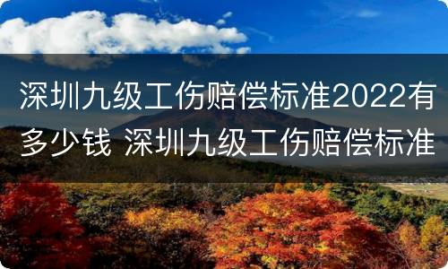 深圳九级工伤赔偿标准2022有多少钱 深圳九级工伤赔偿标准2022有多少钱一个月