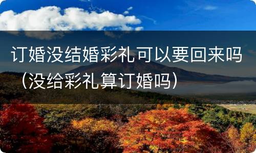 订婚没结婚彩礼可以要回来吗（没给彩礼算订婚吗）