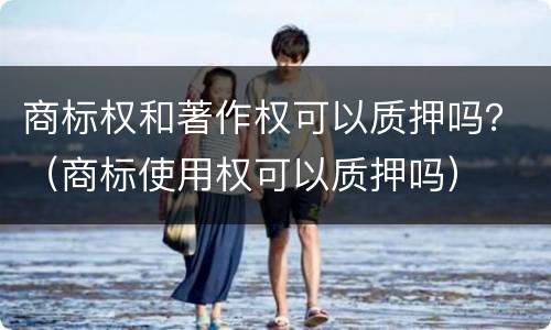 商标权和著作权可以质押吗？（商标使用权可以质押吗）