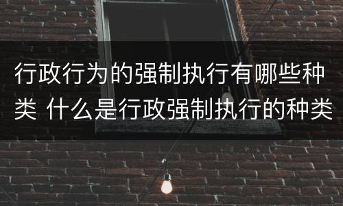行政行为的强制执行有哪些种类 什么是行政强制执行的种类