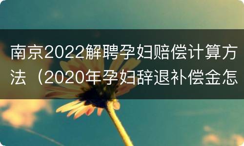 南京2022解聘孕妇赔偿计算方法（2020年孕妇辞退补偿金怎么算）