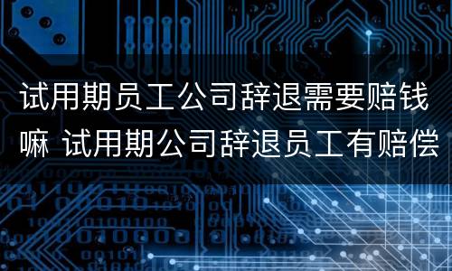 试用期员工公司辞退需要赔钱嘛 试用期公司辞退员工有赔偿吗