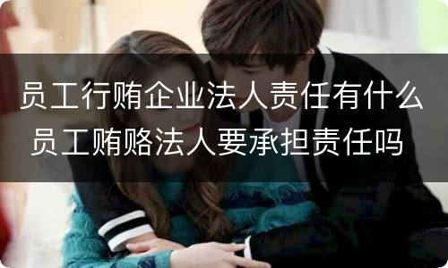 员工行贿企业法人责任有什么 员工贿赂法人要承担责任吗