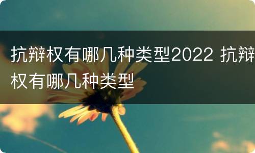 抗辩权有哪几种类型2022 抗辩权有哪几种类型