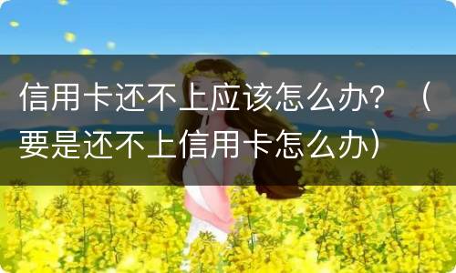 信用卡还不上应该怎么办？（要是还不上信用卡怎么办）