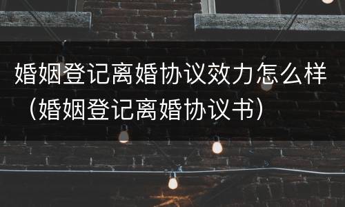 婚姻登记离婚协议效力怎么样（婚姻登记离婚协议书）
