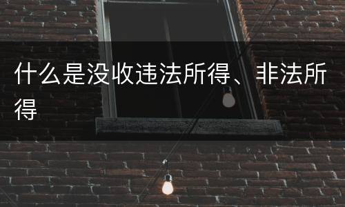 什么是没收违法所得、非法所得