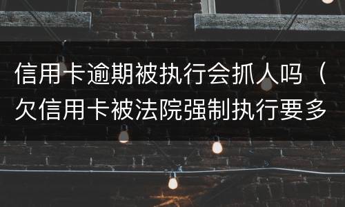 信用卡逾期被执行会抓人吗（欠信用卡被法院强制执行要多久抓人）