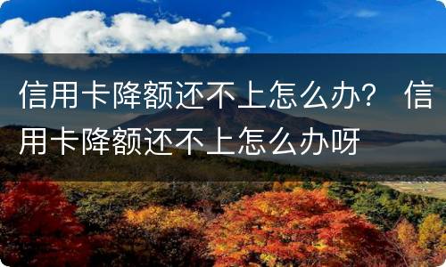 信用卡降额还不上怎么办？ 信用卡降额还不上怎么办呀
