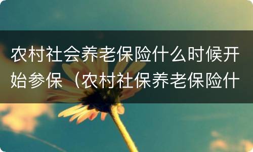 农村社会养老保险什么时候开始参保（农村社保养老保险什么时候交）