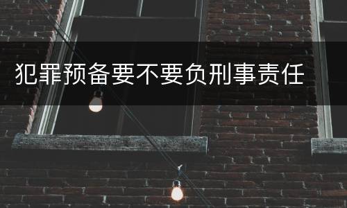 犯罪预备要不要负刑事责任