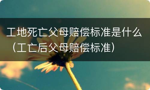工地死亡父母赔偿标准是什么（工亡后父母赔偿标准）