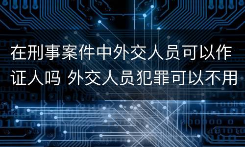 在刑事案件中外交人员可以作证人吗 外交人员犯罪可以不用负责吗