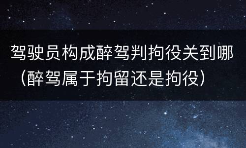 驾驶员构成醉驾判拘役关到哪（醉驾属于拘留还是拘役）