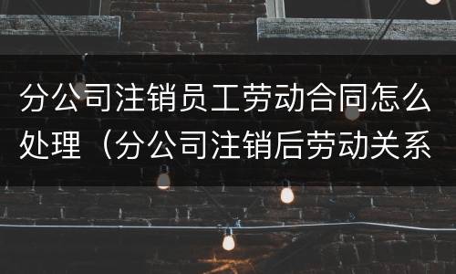 分公司注销员工劳动合同怎么处理（分公司注销后劳动关系怎么处理）