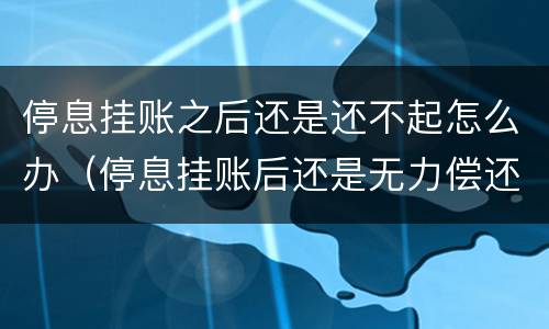 停息挂账之后还是还不起怎么办（停息挂账后还是无力偿还）
