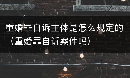 重婚罪自诉主体是怎么规定的（重婚罪自诉案件吗）