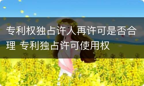 专利权独占许人再许可是否合理 专利独占许可使用权